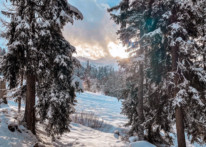 Peisey Vallandry