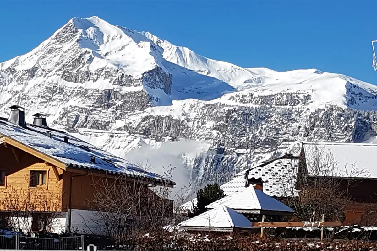 A zoomed in view of chalets in Les Carroz, Grand Massif