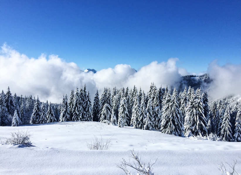 Samoens in the Snow.png