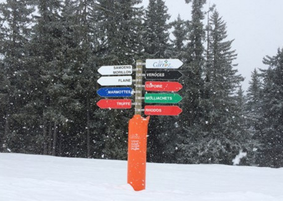 Client Review Spring Skiing In The Grand Massif.png