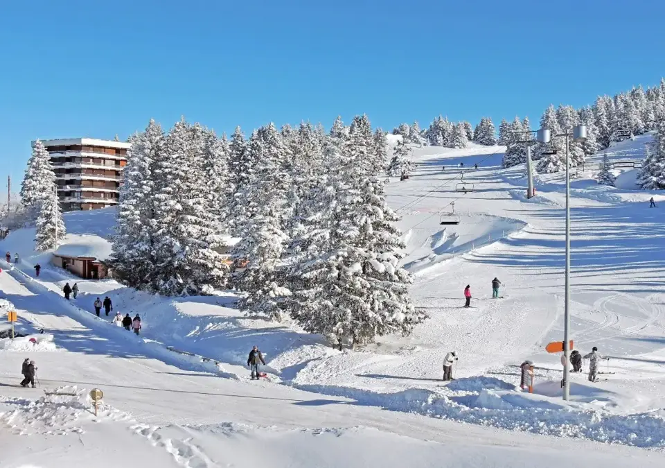 Chamrousse Ski Resort (©VGenin) (1).webp