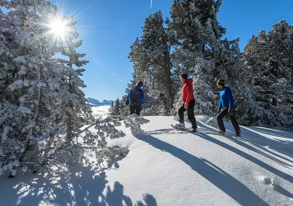 Chamrousse snowshoeing.webp