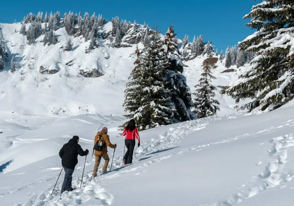 village-neige-eglise-criou-rue-de-la-jaysinia-hiver@otsamoens-10-scaled.webp