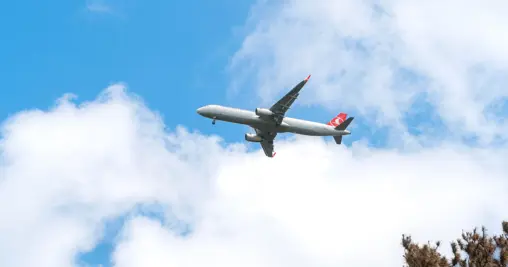 Flying to the Alps