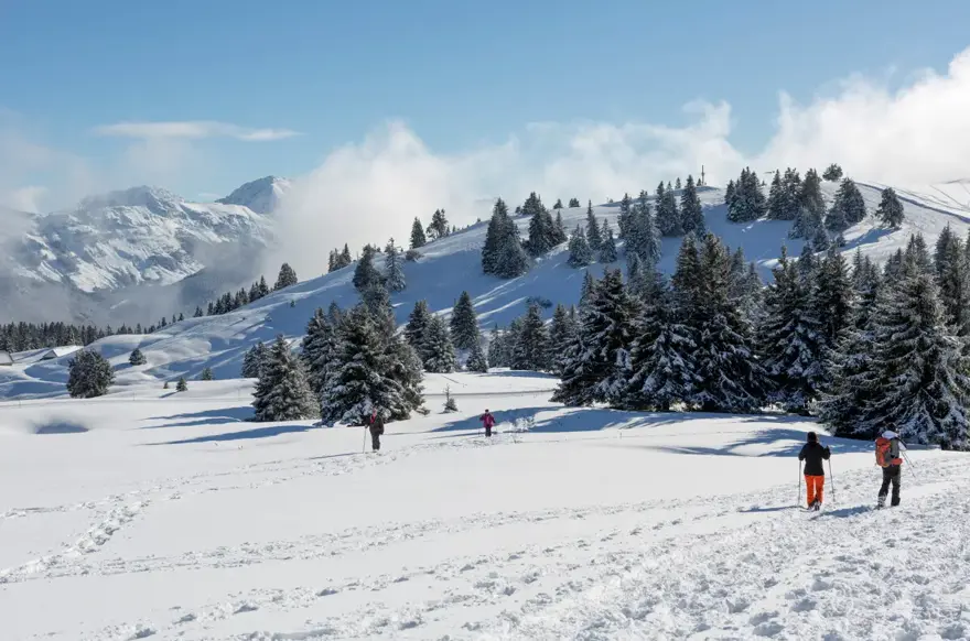 Lake Annecy-Semnoz (DominiqueLafon) (4).webp