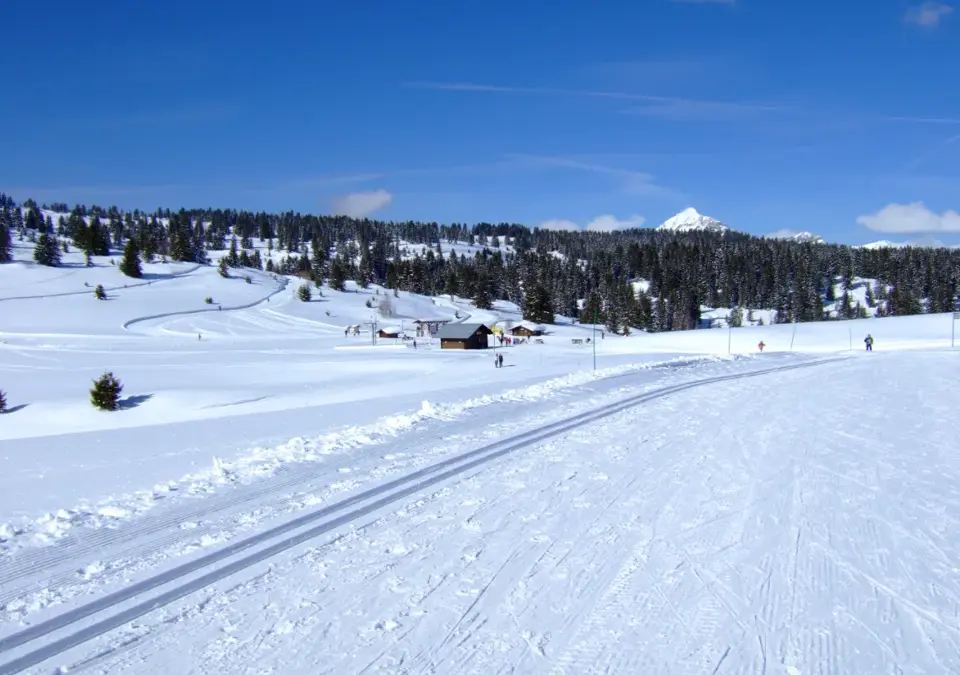 Les Saisies nordic skiing (4).webp