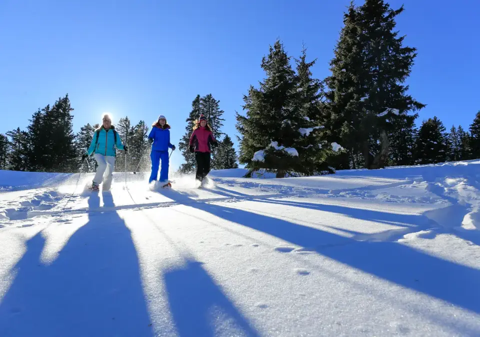 flaine-m.dalmasso (3).webp