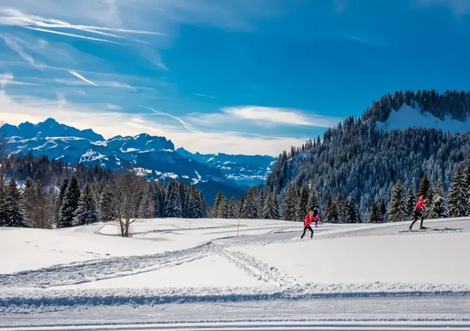 Samoens-Grand Massif-Cross country (Gilles-Piel).webp