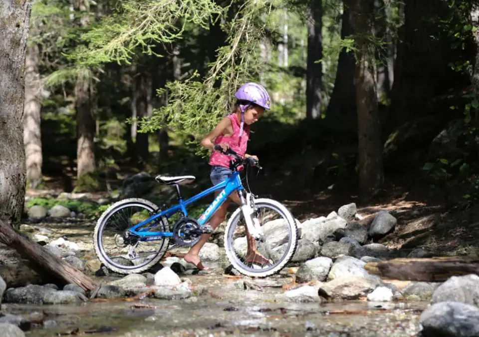 Les Houches-Mont Blanc-Mountain biking.webp